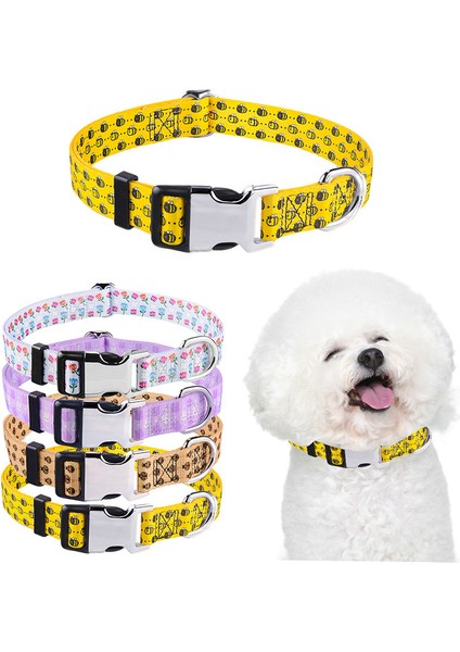 Köpek Boyun Tasması (Yurt Dışından)