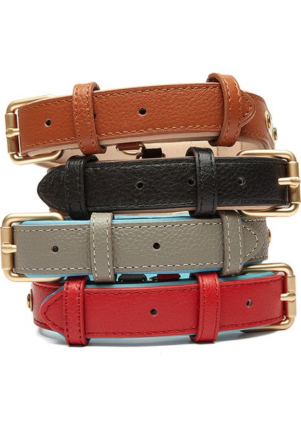 Köpek Boyun Tasması (Yurt Dışından) fiyatları