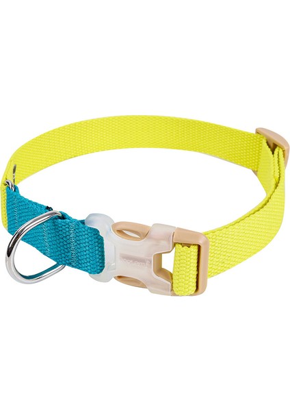 Köpek Boyun Tasması (Yurt Dışından)