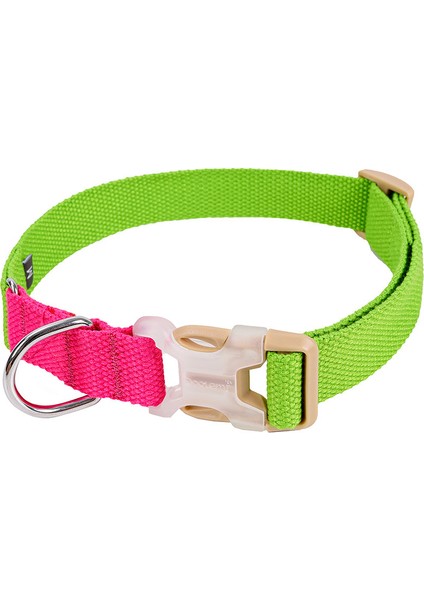 Köpek Boyun Tasması (Yurt Dışından)
