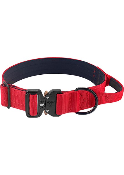 Köpek Boyun Tasması (Yurt Dışından)