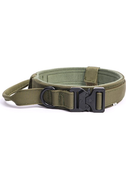 Köpek Boyun Tasması (Yurt Dışından)