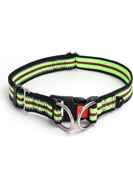 Köpek Boyun Tasması (Yurt Dışından)