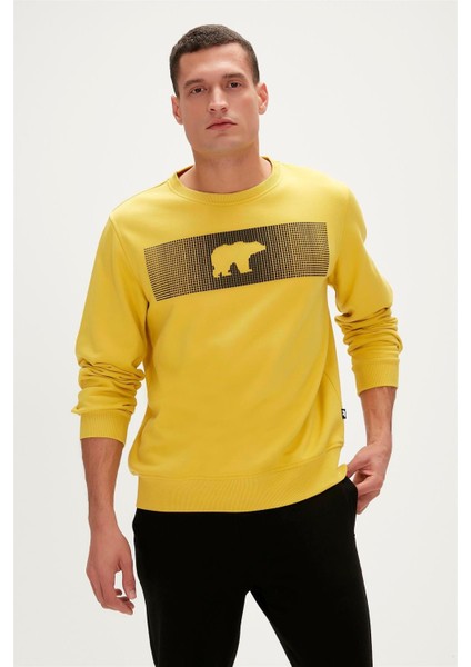 19.02.12.007-C119 Fancy Erkek Sweatshirt fiyatları