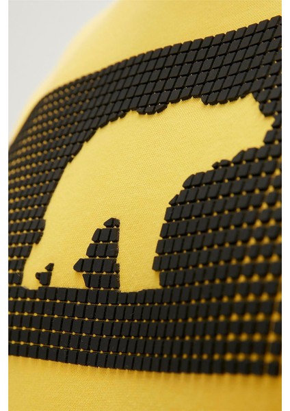 19.02.12.007-C119 Fancy Erkek Sweatshirt modelleri