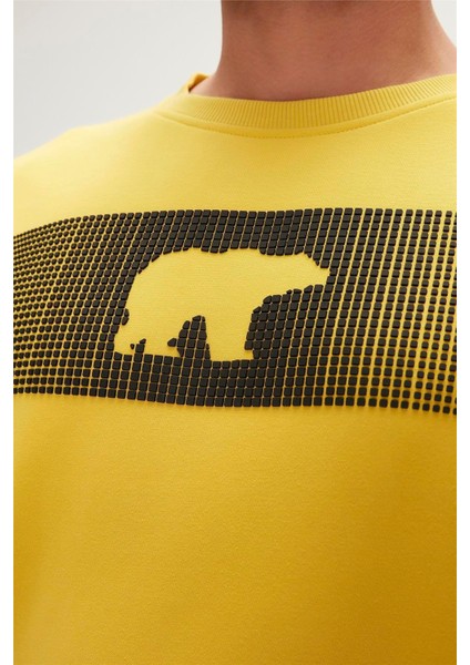 19.02.12.007-C119 Fancy Erkek Sweatshirt fırsatları