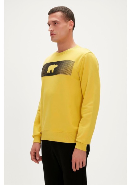 19.02.12.007-C119 Fancy Erkek Sweatshirt indirimleri