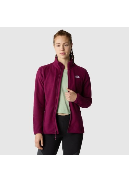 NF0A855OI0H1 W 100 Glacier Kadın Outdoor Mont indirimleri