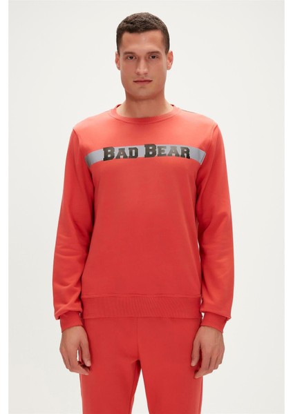 23.02.12.021-C109 Reflect Bear Erkek Sweatshirt