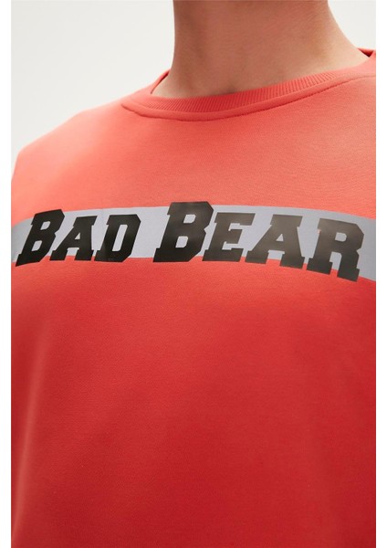 23.02.12.021-C109 Reflect Bear Erkek Sweatshirt