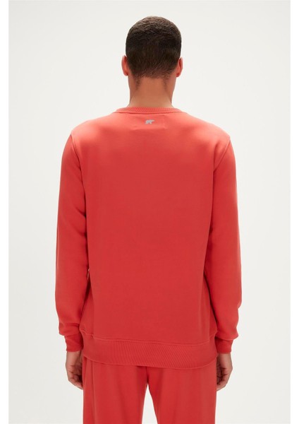 23.02.12.021-C109 Reflect Bear Erkek Sweatshirt