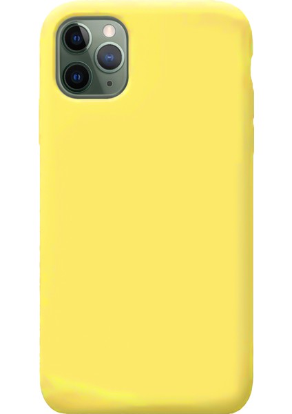 iPhone 12 Pro Max Kılıf Nano Lansman Silikon Arka Kapak