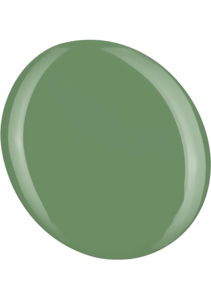 Shield Gel Polish Kalıcı Oje Verdant 571 15ml modelleri
