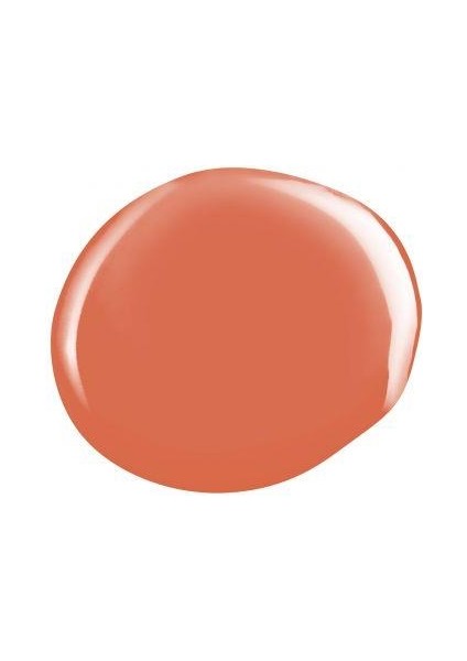Shield Gel Polish Kalıcı Oje Ginger Hint 541 15ml