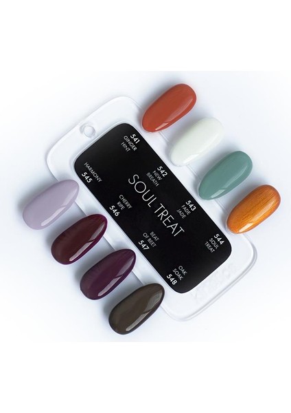 Shield Gel Polish Kalıcı Oje Ginger Hint 541 15ml