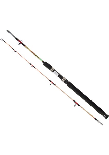Solid Power Boat 10-20LBS Dolgu Bot Kamışı 2p
