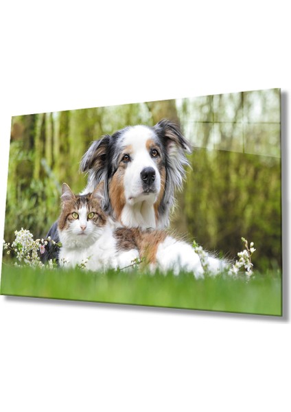 Eliza Home Kedi Köpek Cam Tablo