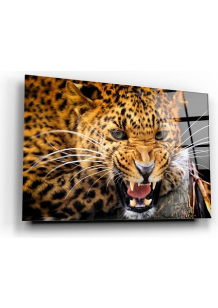Eliza Home Aslan Cam Tablo modelleri