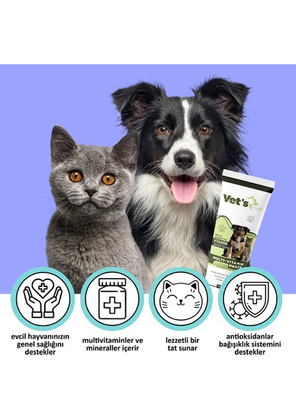Vet’s Health Multi Vitamin Paste Kedi ve Köpekler Için Vitamin Desteği Pasta 100g fiyatları