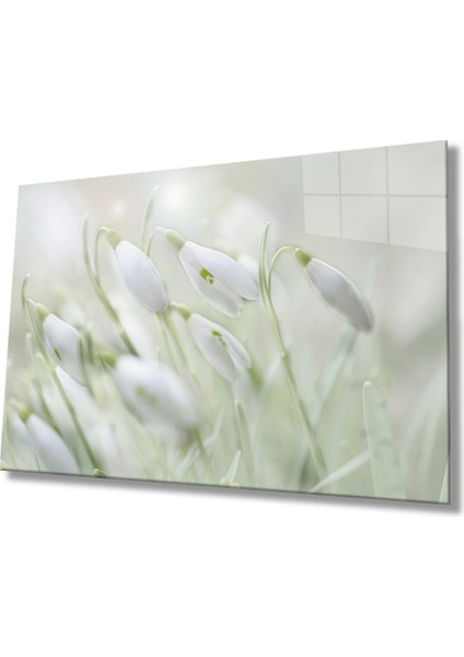 Eliza Home Kardelen Çiçeği Cam Tablo Snowdrop Flower