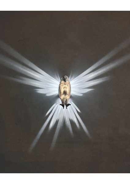 Kartal Duvar Lambası