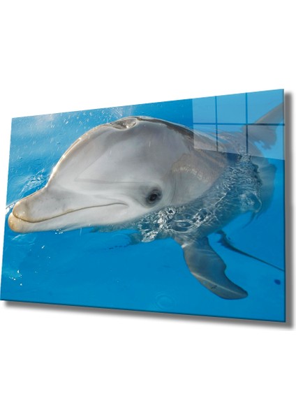 Eliza Home Yunus Balığı Cam Tablo Dolphin