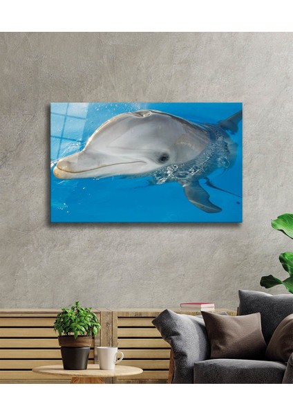Eliza Home Yunus Balığı Cam Tablo Dolphin