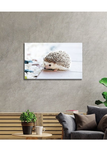 Eliza Home Kirpi Cam Tablo fiyatları
