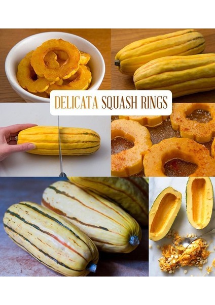 Delicata Kışlık Kabak Tohumu Winter Squash fırsatları