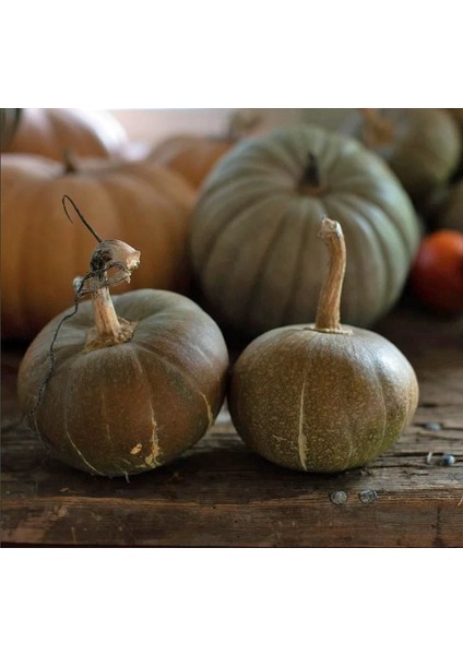 Strawberry Crown Kışlık Kabak Tohumu Winter Squash