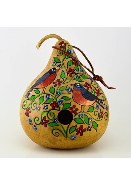 Kırlangıç Yuvası Su Kabağı Tohumu Martin House Gourd