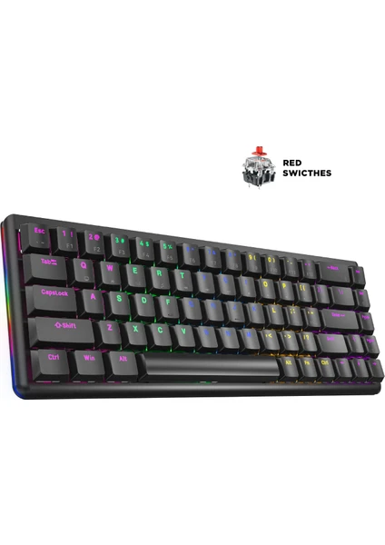 Rebel Siyah Low Profile Red Switch Us Layout Rainbow Mekanik Gaming Oyuncu Klavye