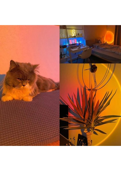 Oda Için Gün Batımı Lamba Projektörü Uzaktan Kumandalı LED Gün Batımı Projeksiyonu Gece Lambası 16 Renk Selfie / Ev / Oturma Odası / Yatak Odası Dekoru Romantik Görsel Gün Batımı P (Yurt Dışından) fiyatları