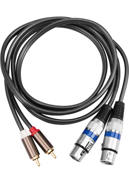 Hifi Ses Kablosu 2 Rca Erkek Xlr 3 Pin Dişi Karıştırma Konsolu Amplifikatör Çift Xlr Çift Rca Korumalı Kablo 1.5 M (Yurt Dışından)
