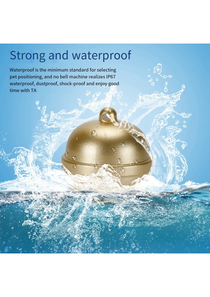 2g Köpek Takip Yaka Bulucu Pet Köpek Takip Cihazı Gps Bulucu Google Harita ile Pet Gps Bulucu Için Gerçek Zamanlı Takip Gümüş (Yurt Dışından) fiyatları