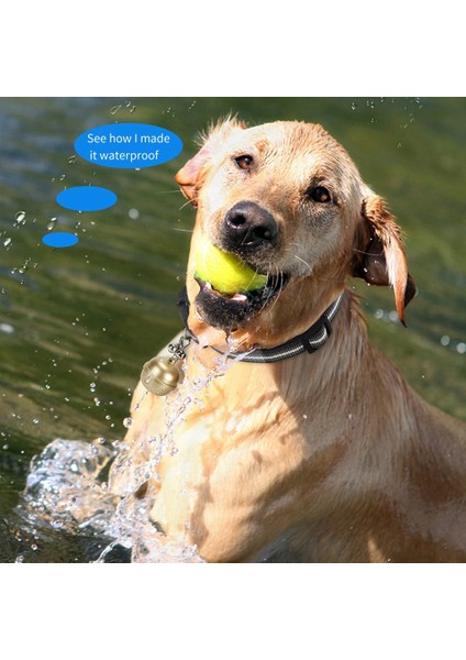 2g Köpek Takip Yaka Bulucu Pet Köpek Takip Cihazı Gps Bulucu Google Harita ile Pet Gps Bulucu Için Gerçek Zamanlı Takip Gümüş (Yurt Dışından) modelleri