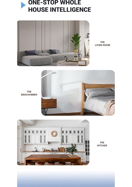 Tuya Güç Soketi Evrensel Fiş 16A Akıllı Yaşam Elektrik Çıkışları Google Ev Için Ses Kontrolü Siyah Wifi (Yurt Dışından) fiyatları