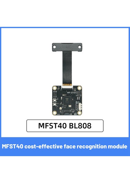 MFST40 BL808 Çift Çekirdekli Rısc-V Erişim Kontrolü Kapı Kilidi Seyirci Makinesi Binoküler Yüz Tanıma Modülü (Yurt Dışından)