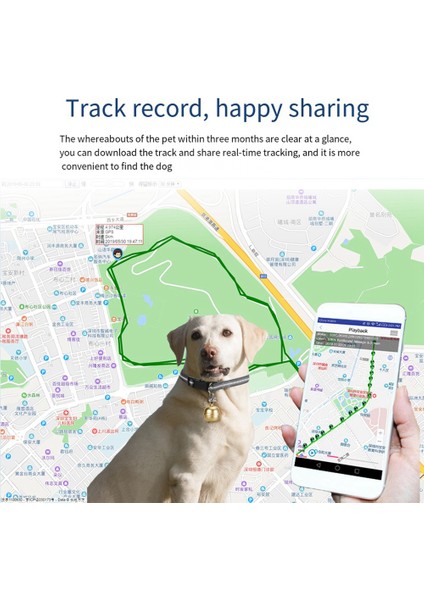 2g Köpek Takip Yaka Bulucu Pet Köpek Takip Cihazı Gps Bulucu Google Harita ile Pet Gps Bulucu Altın Için Gerçek Zamanlı Takip (Yurt Dışından)