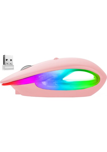 Kablosuz Oyun Faresi Şarj Edilebilir, USB Alıcılı 2.4g Gürültüsüz Fare - Pc, Tablet, Dizüstü Bilgisayar Için Taşınabilir Bilgisayar Faresi - Pembe (Yurt Dışından)
