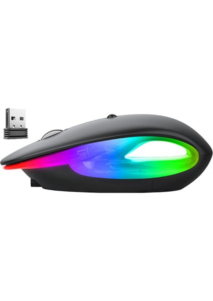 Kablosuz Oyun Faresi Şarj Edilebilir, USB Alıcılı 2.4g Gürültüsüz Fare - Pc, Tablet, Dizüstü Bilgisayar Için Taşınabilir Bilgisayar Faresi - Siyah (Yurt Dışından)