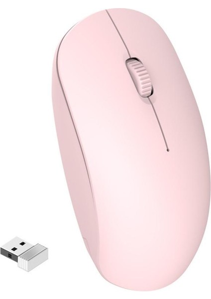 Fare Sessiz 2.4g Kablosuz Sessiz Fare Fare Dizüstü Ofis Iş Siyahı Oyun Faresi Sürümü (Yurt Dışından)