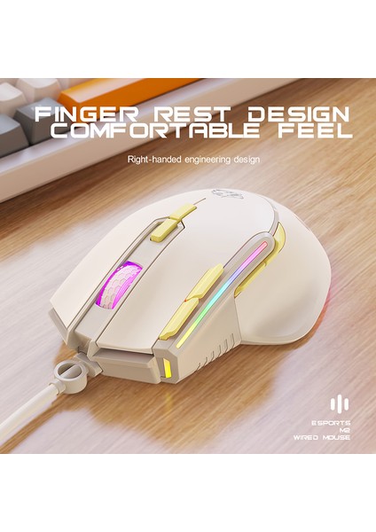 M2 Rgb Özelleştirilmiş Oyun Faresi 9 Düğme 12800 Dpı USB Şarj Edilebilir Sessiz Arkadan Aydınlatmalı Fareler Optik Fare Ergonomi Esports Fareler (Yurt Dışından)