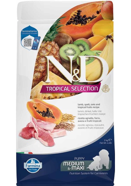 Nd Tropical Selection Düşük Tahıllı Kuzu Etli ve Tropikal Meyveli Orta ve Büyük Irk Yavru Köpek Maması 2kg