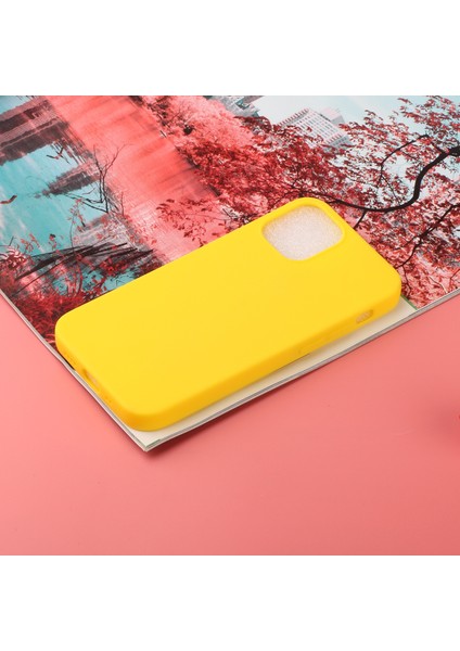 iPhone 12 Pro Telefon Kılıfı (Yurt Dışından)