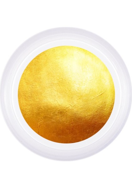 Jel Boya Altın T4 Stamping & Ombree & Çizim 5 gr fiyatları