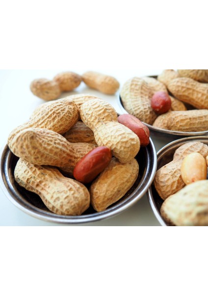 Kabuklu Yer Fıstığı Çiğ 1 kg