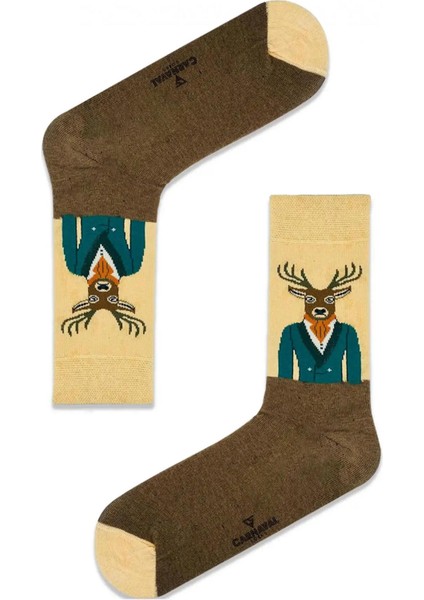 6'lı Havalı Hayvanlar Desenli Çorap Seti modelleri