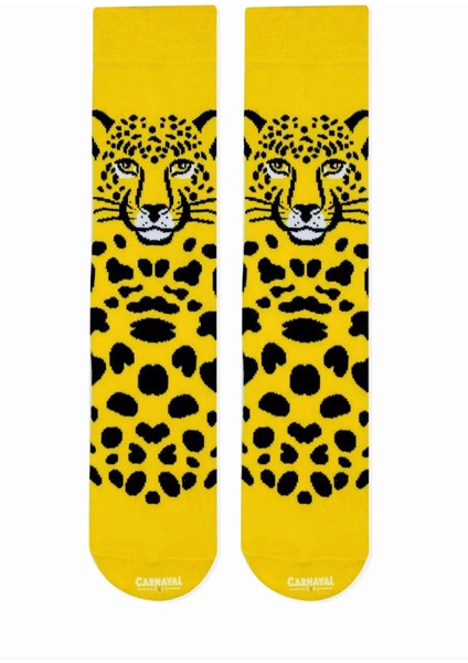 6'lı Havalı Hayvanlar Desenli Çorap Seti indirimleri