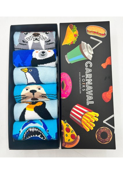 6'lı Deniz ve Buzul Hayvanları Desenli Çorap Seti